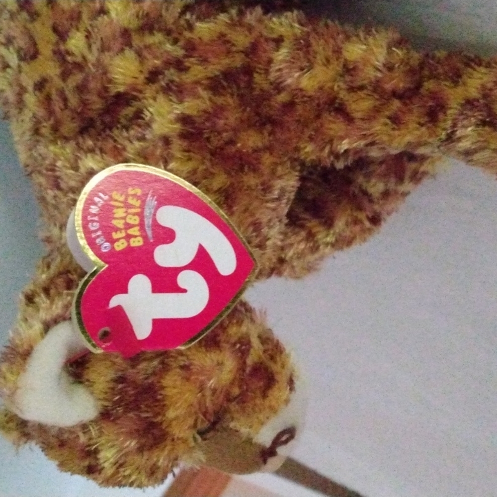 TY Beanie Baby Dotson - Picture 2 of 5
